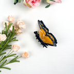 Acetate Butterfly  Claw Clip Animal Hair Clips