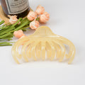 Large Lazy Transparent French Hair Claw Clip