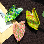 Leaves Barrettes Acetate Updo Large Size Shark Clip