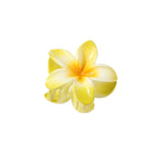 Color Plumeria Rubra Barrettes Side Grab Half Grab Back Head Shark Clip