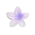 Color Plumeria Rubra Barrettes Side Grab Half Grab Back Head Shark Clip