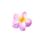 Color Plumeria Rubra Barrettes Side Grab Half Grab Back Head Shark Clip