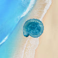 Conch Shell Barrettes Acrylic Side Clip Mini Clip
