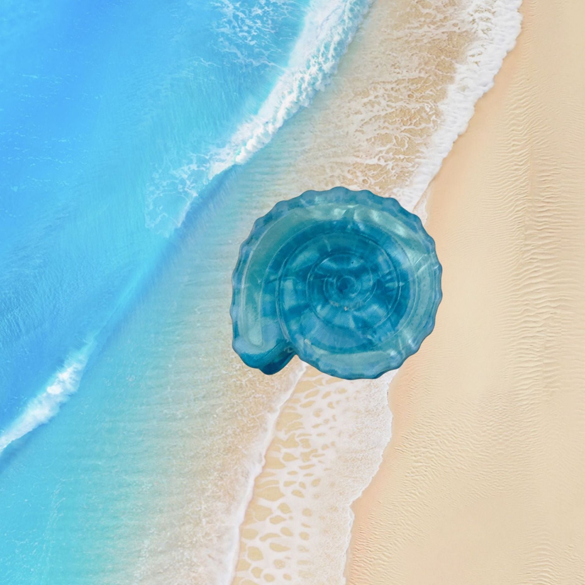 Conch Shell Barrettes Acrylic Side Clip Mini Clip