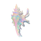 Conch Grip Holiday Beach Style Shark Clip