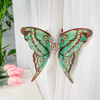 Butterfly Grip Updo Shark Clip